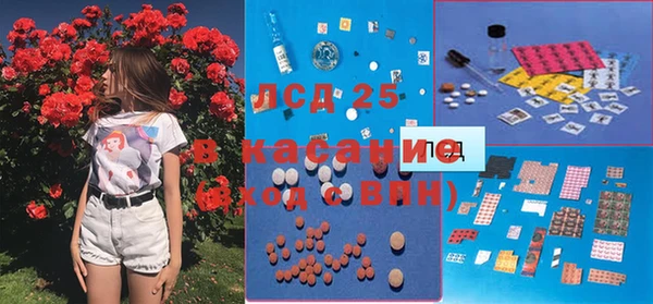 винт Алзамай