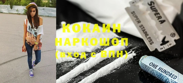 стаф Алексин