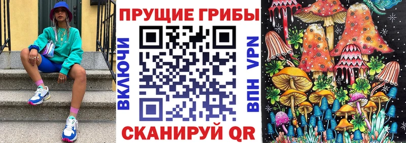Псилоцибиновые грибы прущие грибы  Изобильный 